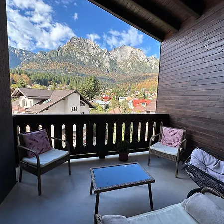 The View Apartment Busteni Exterior photo