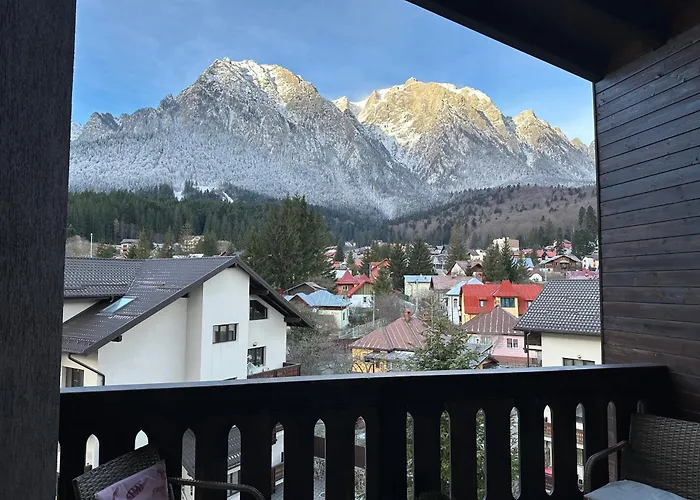 The View Apartment Busteni